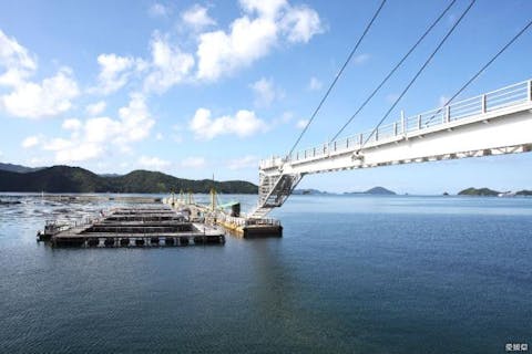 トヨタレンタリース西四国 JR八幡浜駅店【アソビュー！】