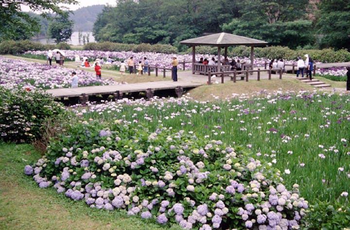 池田池公園