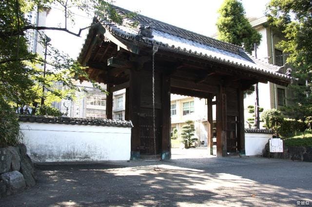 スポットの写真