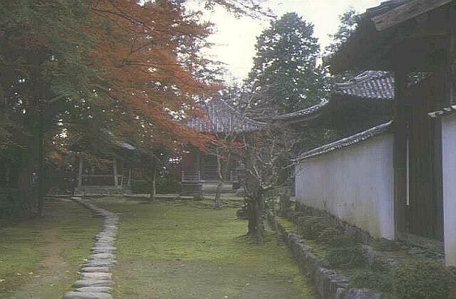 スポットの写真