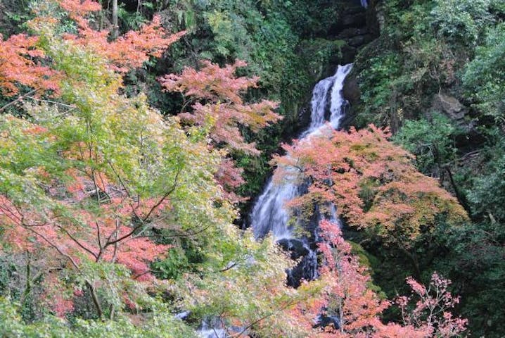 白滝るり姫まつり