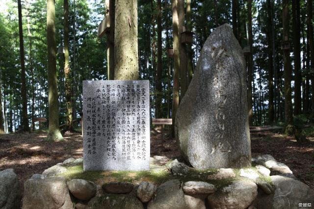 スポットの写真