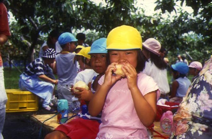 一の瀬観光なし園