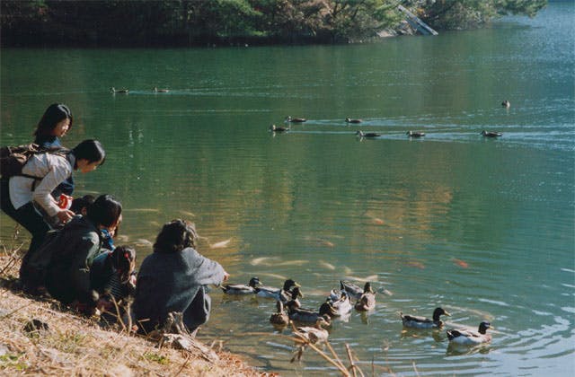 スポットの写真