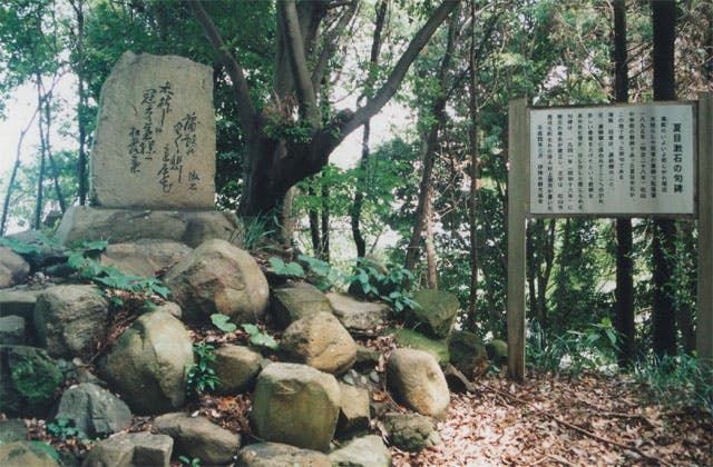 スポットの写真