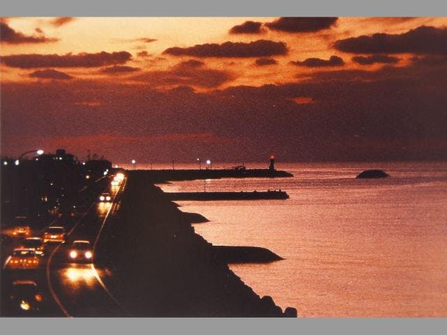 スポットの写真