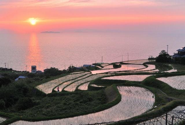 スポットの写真