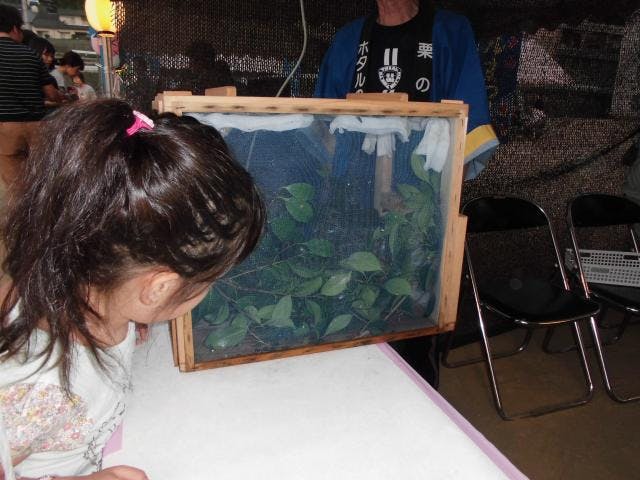 伊予中山ホタルまつり