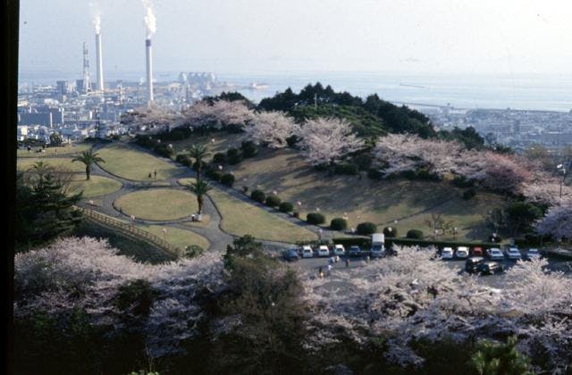 スポットの写真