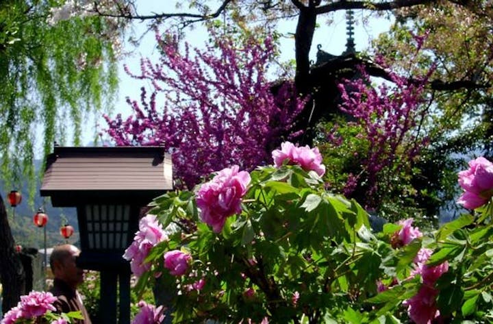 法安寺のボタン