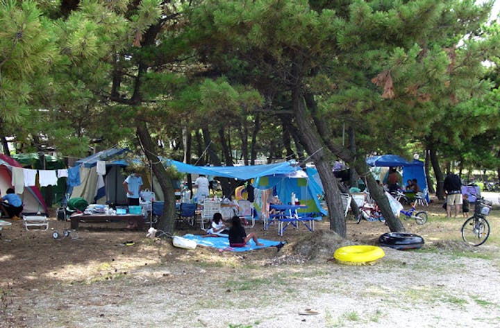 松原海水浴場キャンプ場