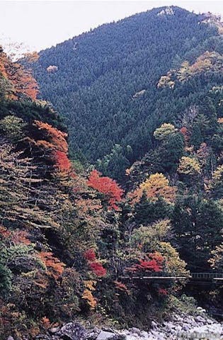 面河渓の紅葉 アソビュー