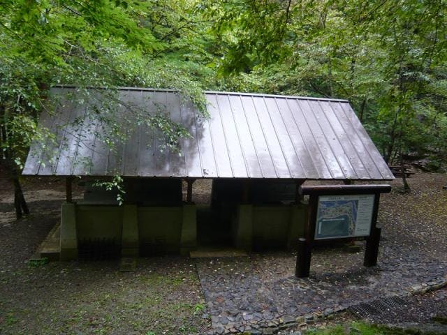 面河鉄砲石川キャンプ場