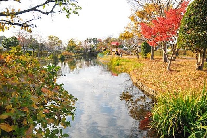 ひょこたん池公園