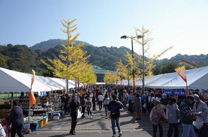 【2021年中止】秋の砥部焼まつり