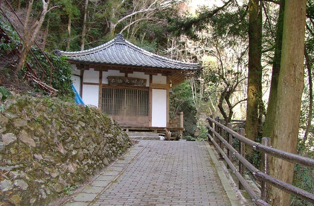 スポットの写真