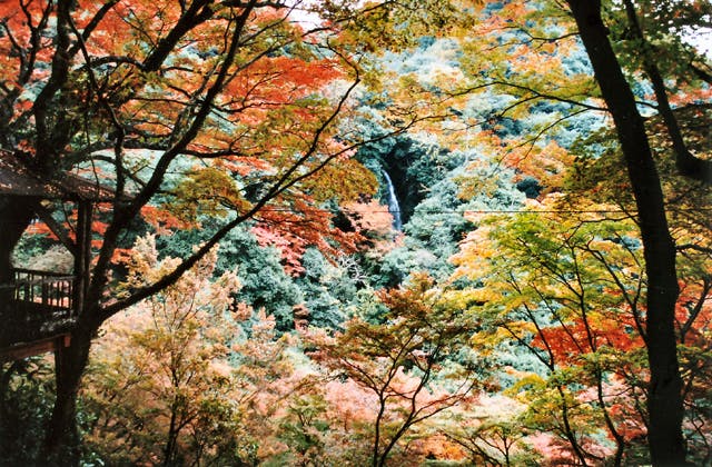 スポットの写真