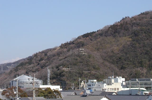 スポットの写真