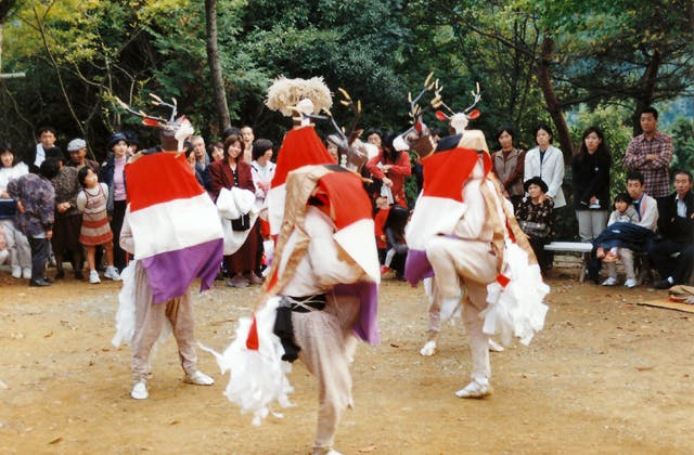 スポットの写真