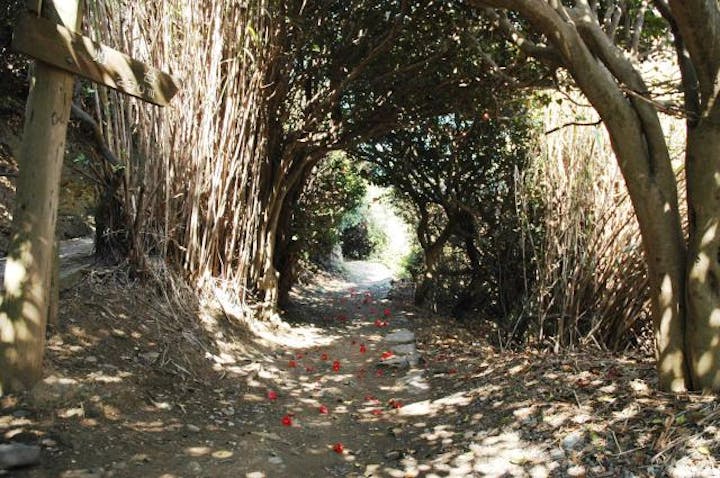 佐田岬灯台遊歩道