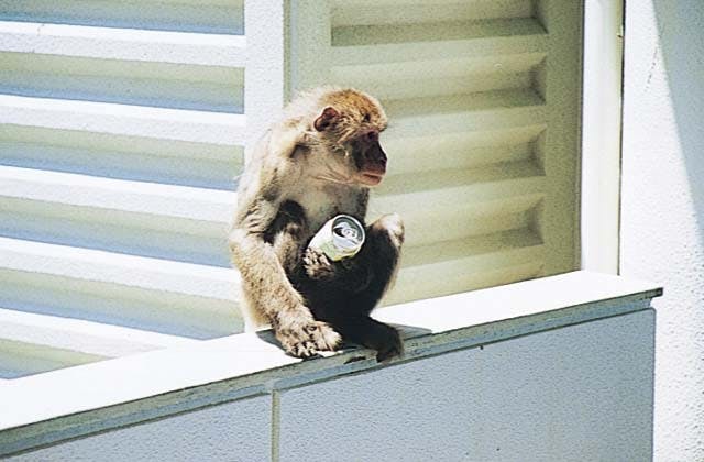 スポットの写真