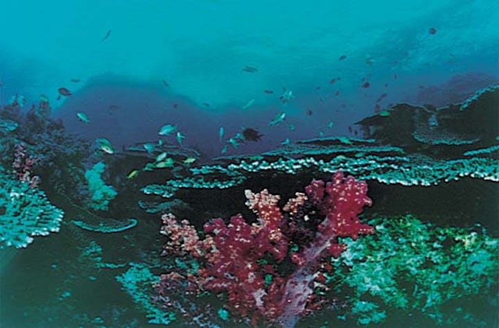 宇和海海域公園