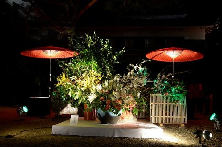 高知城花回廊 アソビュー 高知城花回廊 アソビュー