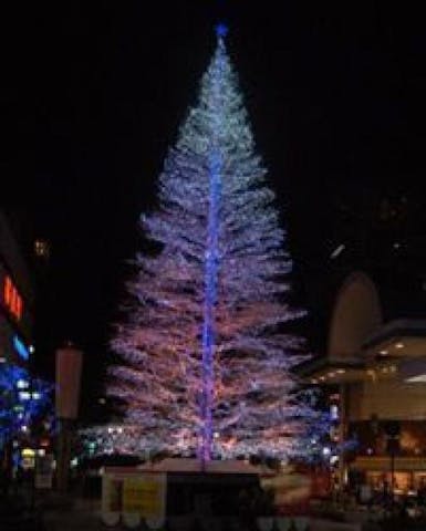 イルミネーションフェスタ2021（高知県高知市）