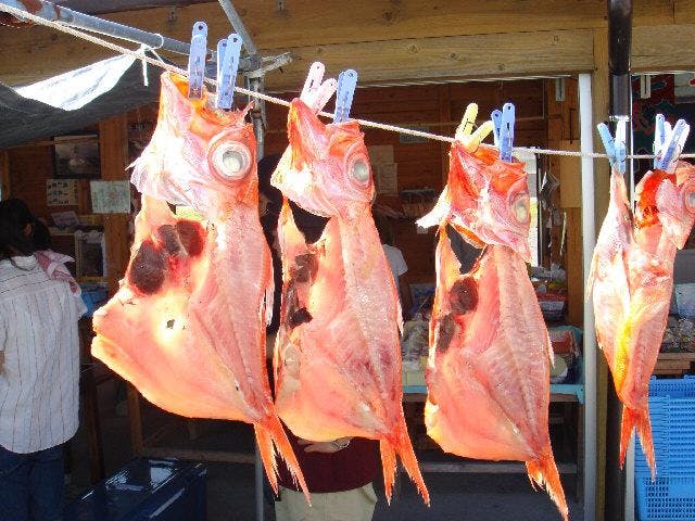 室戸まるかじり体験