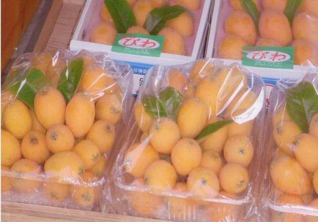 スポットの写真