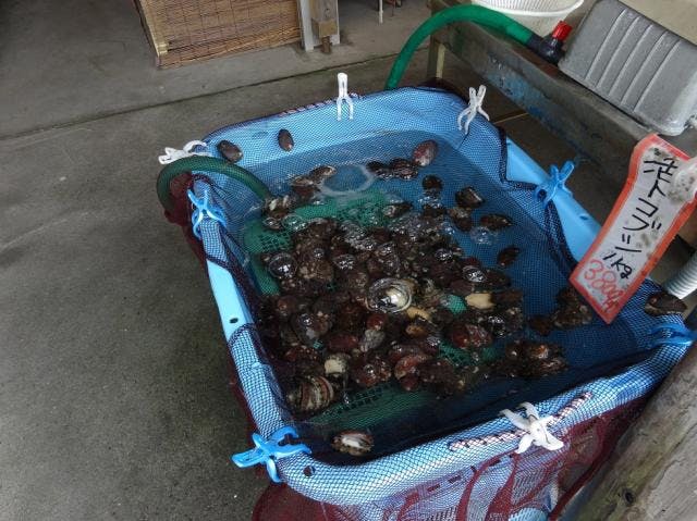 スポットの写真