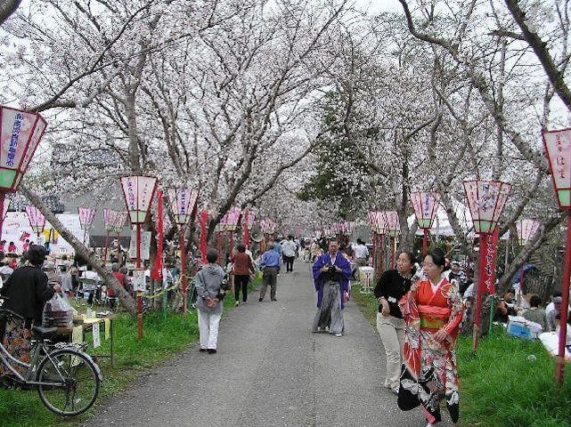 貫之さくら祭り