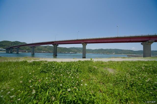 スポットの写真