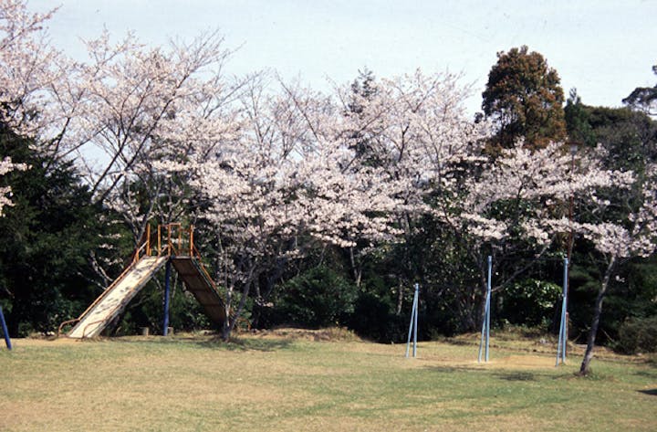 為松公園