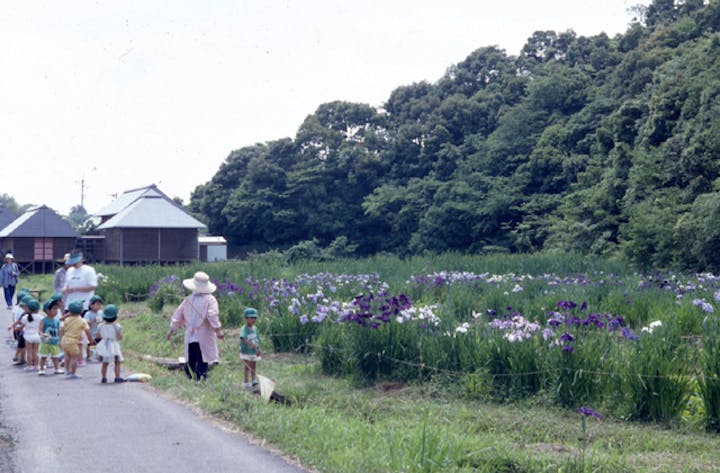 四万十トンボ自然公園 アソビュー