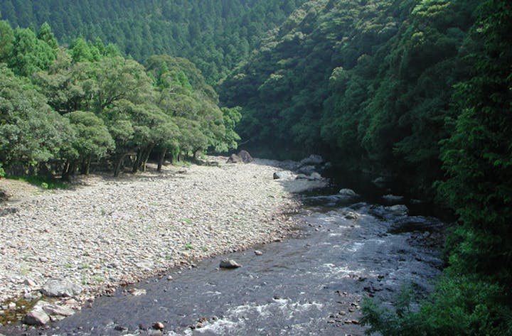 笹平キャンプ場