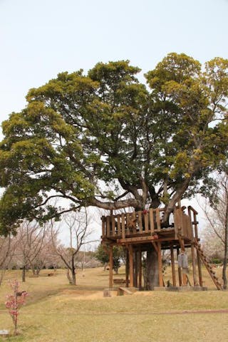 うすばえ桜公園