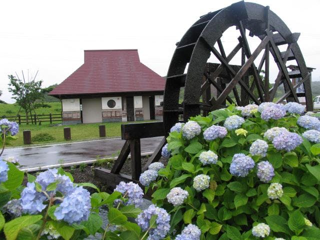 麻生堰及び四ヶ村溝