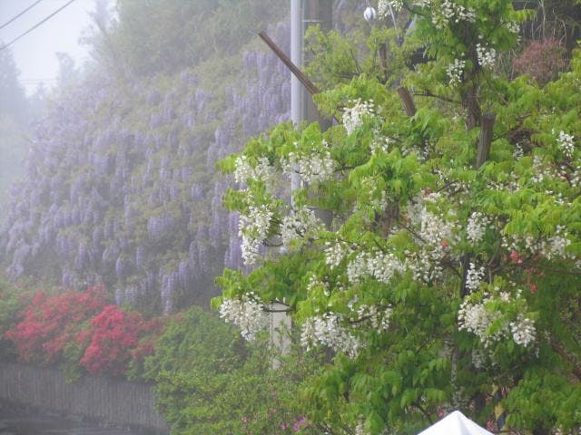 香山寺市民の森