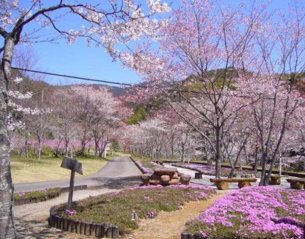 平山親水公園