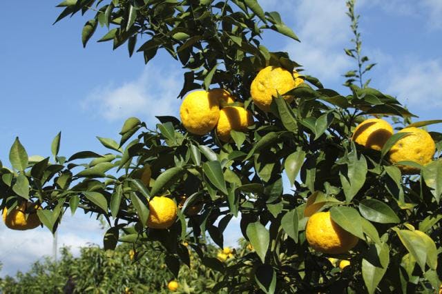 スポットの写真