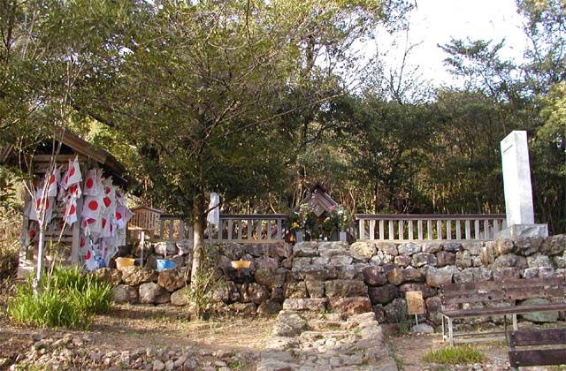 スポットの写真