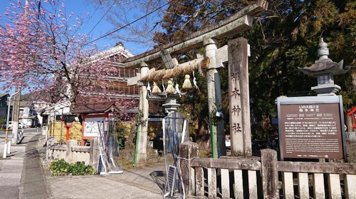 椙本神社（いの大国さま）