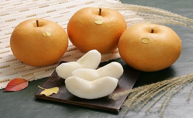 スポットの写真