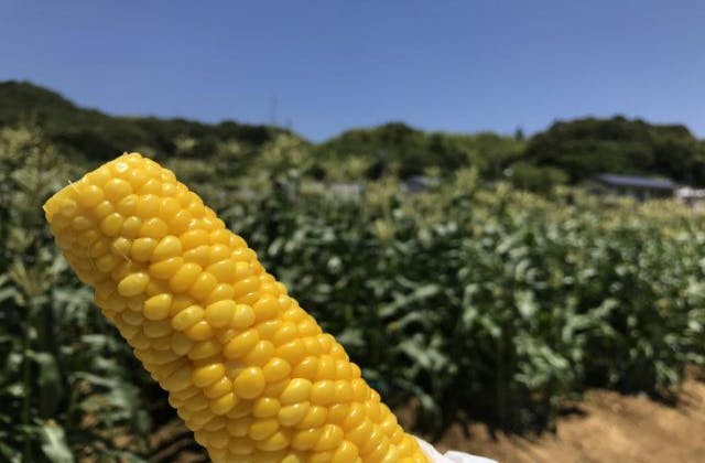 スポットの写真