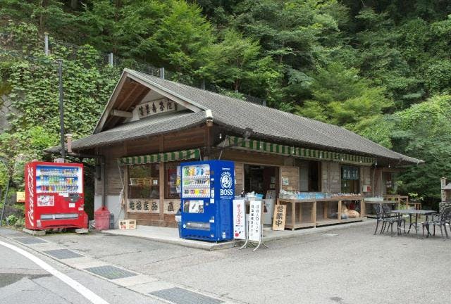 スポットの写真