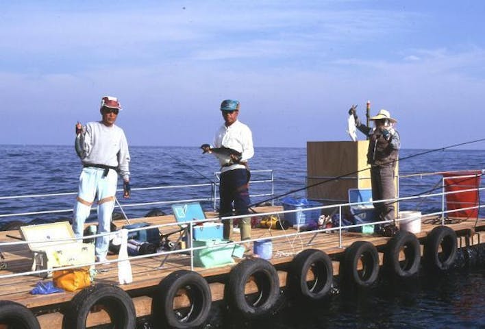 矢井賀観光釣りイカダ