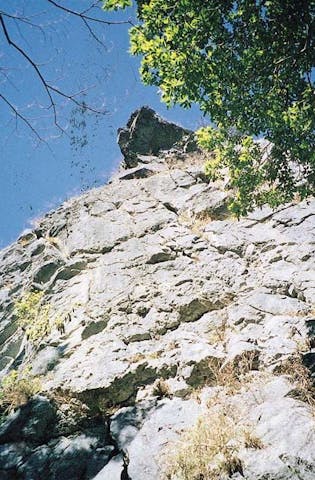 横倉山馬鹿試し