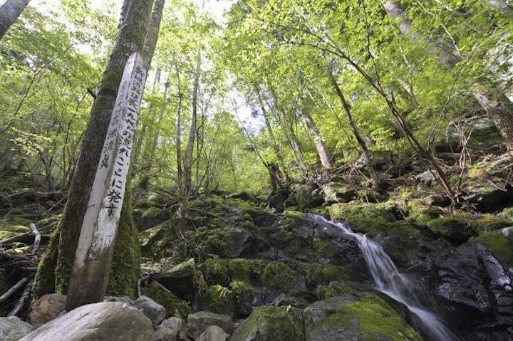 四万十川源流点