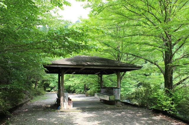 スポットの写真